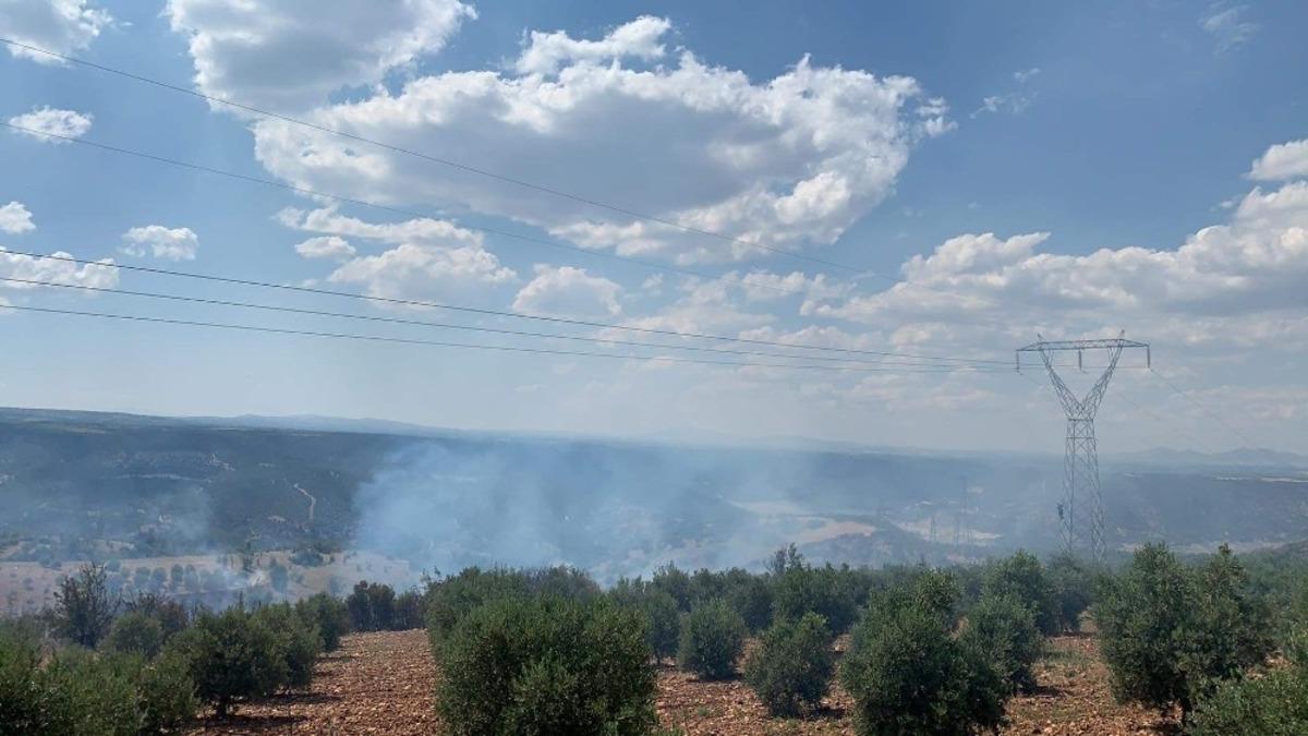 Denizli&rsquo;de ormanlık alanda ki yangında 50 hektar zarar g&ouml;rd&uuml;