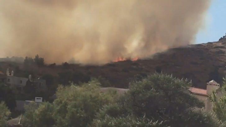 Bodrum'da yerleşim yerlerine yakın makilik alanda yangın G5