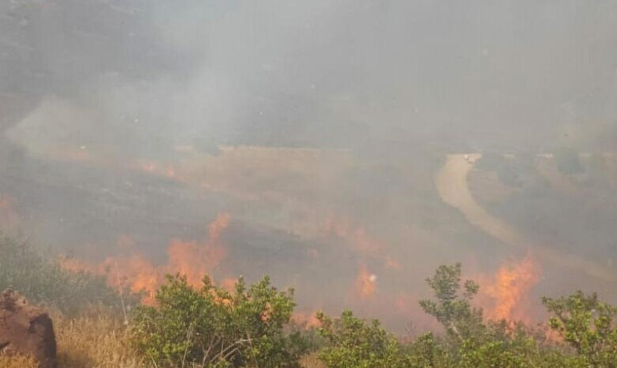 Bodrum'da yerleşim yerlerine yakın makilik alanda yangın
