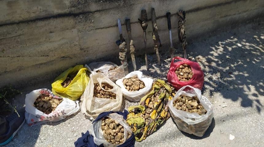 Ka&ccedil;ak salep bitkisi toplayan şahıslar yakalandı