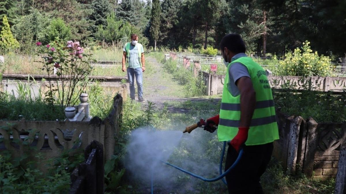 Mezarlıkta otlar ila&ccedil;landı