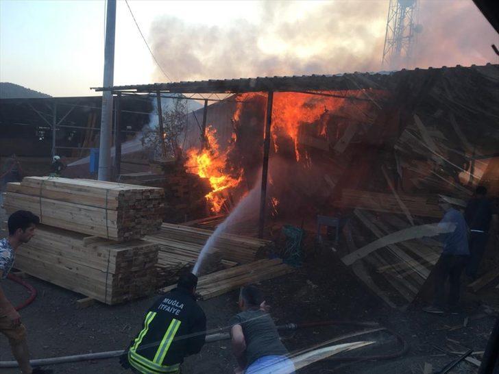 Muğla'da kereste deposunda çıkan yangın maddi hasara neden oldu G1