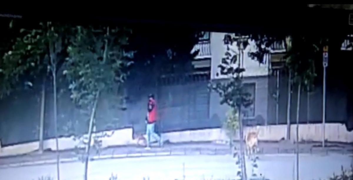 Kapıyı kırıp girdikleri d&uuml;kkandan sadece k&ouml;peği &ccedil;aldılar