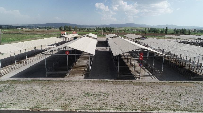 Şarkışla hayvan pazarı ge&ccedil;ici olarak kapatıldı