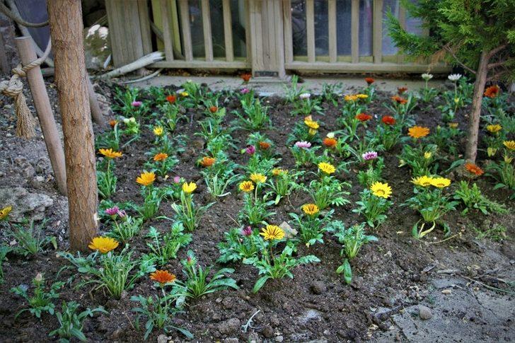 Beypazarı sokakları rengarenk G3