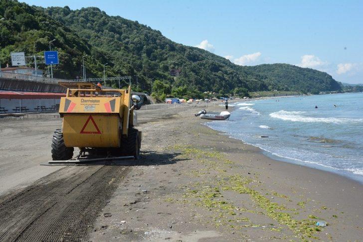 Kdz. Ereğli Belediyesi plajlarda temizlik çalışması yaptı G2