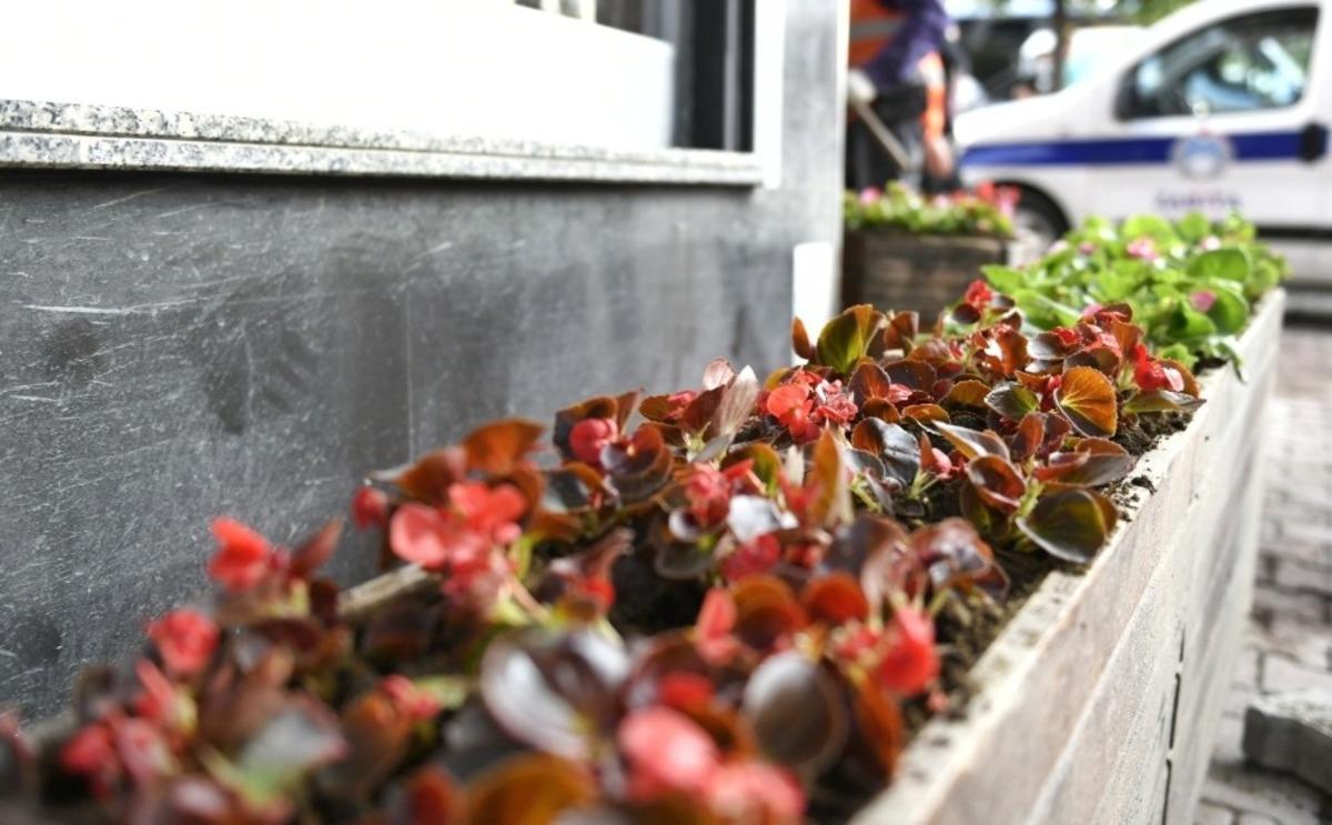 Esenyurt&rsquo;ta selde zarar g&ouml;ren &ccedil;i&ccedil;eklerin yerine yenisi dikildi