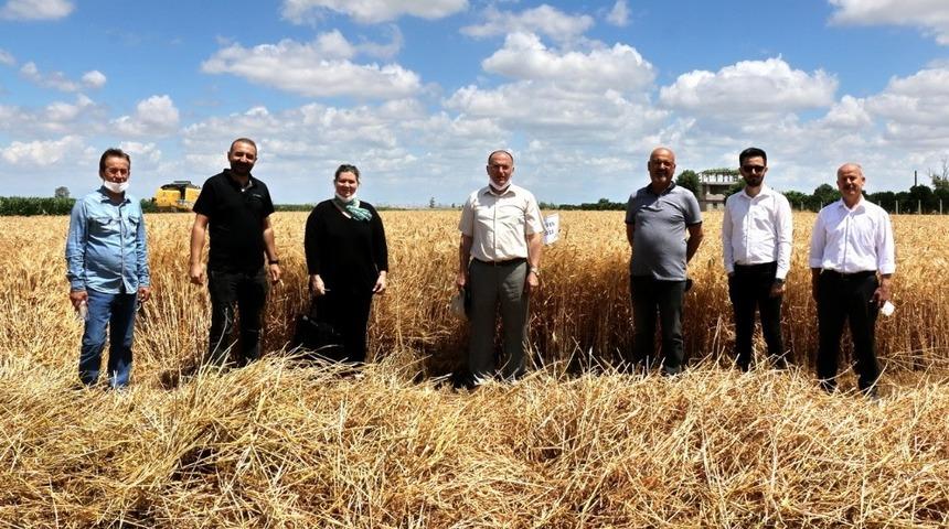 Adana&rsquo;da yerli tohum deneme &ccedil;alışmaları