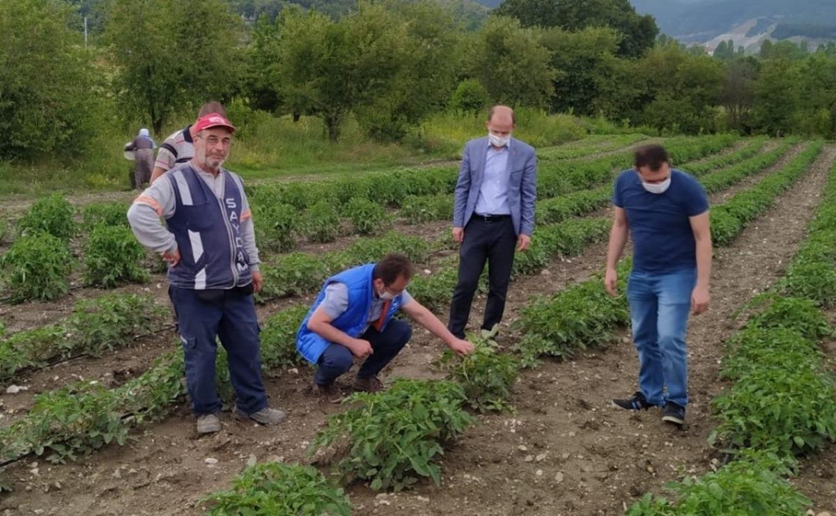 Sel sonrası tarım arazilerinde inceleme