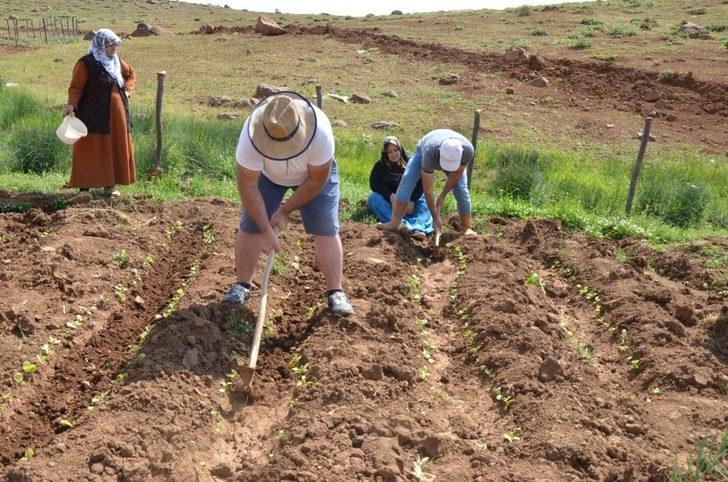 Terörün bittiği dağlarda tarım ve hayvancılık canlandı G2
