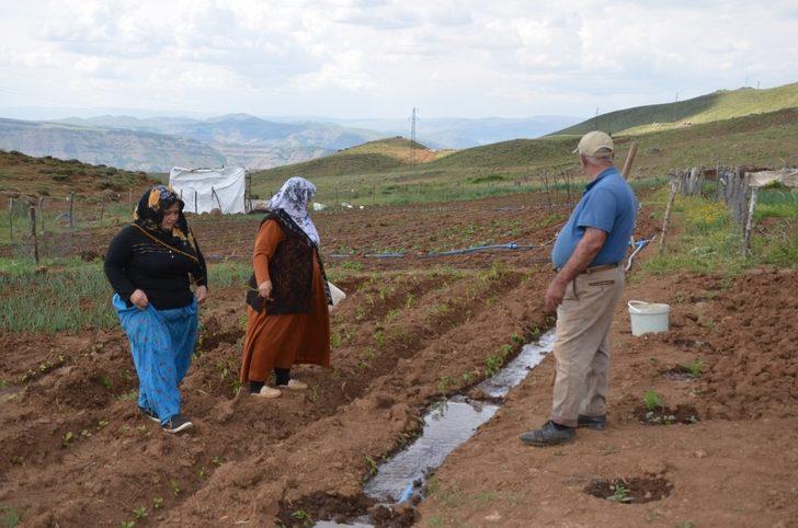 Terörün bittiği dağlarda tarım ve hayvancılık canlandı G3