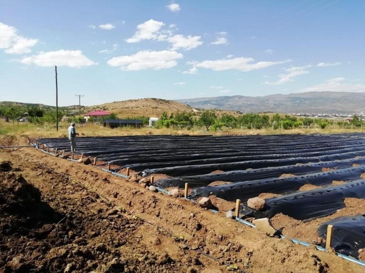 Bing&ouml;l&rsquo;de 8 adet kapama &ccedil;ilek bah&ccedil;esi kuruldu