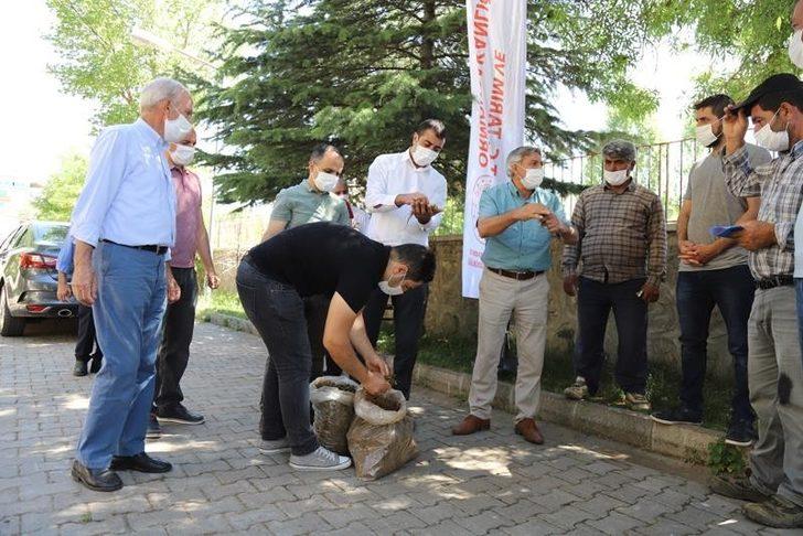Bingöl’de 8 adet kapama çilek bahçesi kuruldu G2