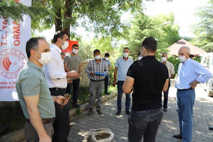 Bingöl’de 8 adet kapama çilek bahçesi kuruldu G3