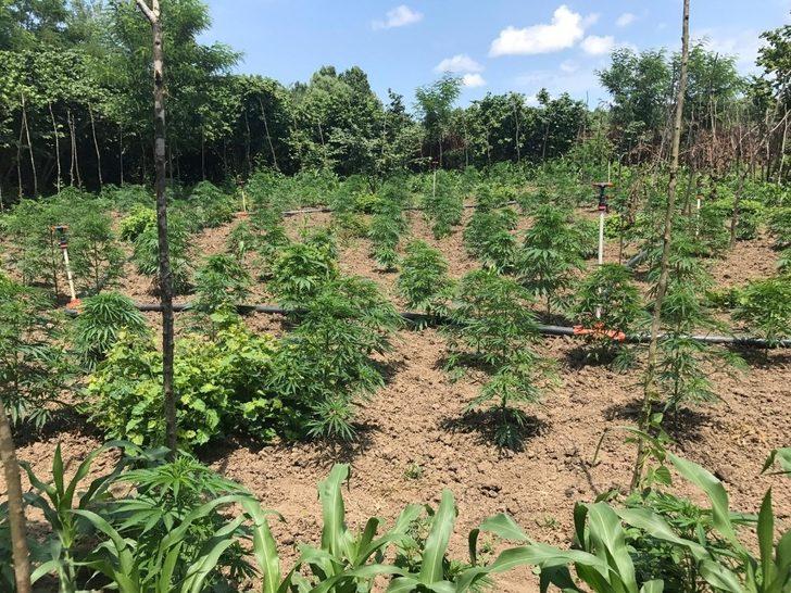 Çarşamba’da uyuşturucu operasyonu G1