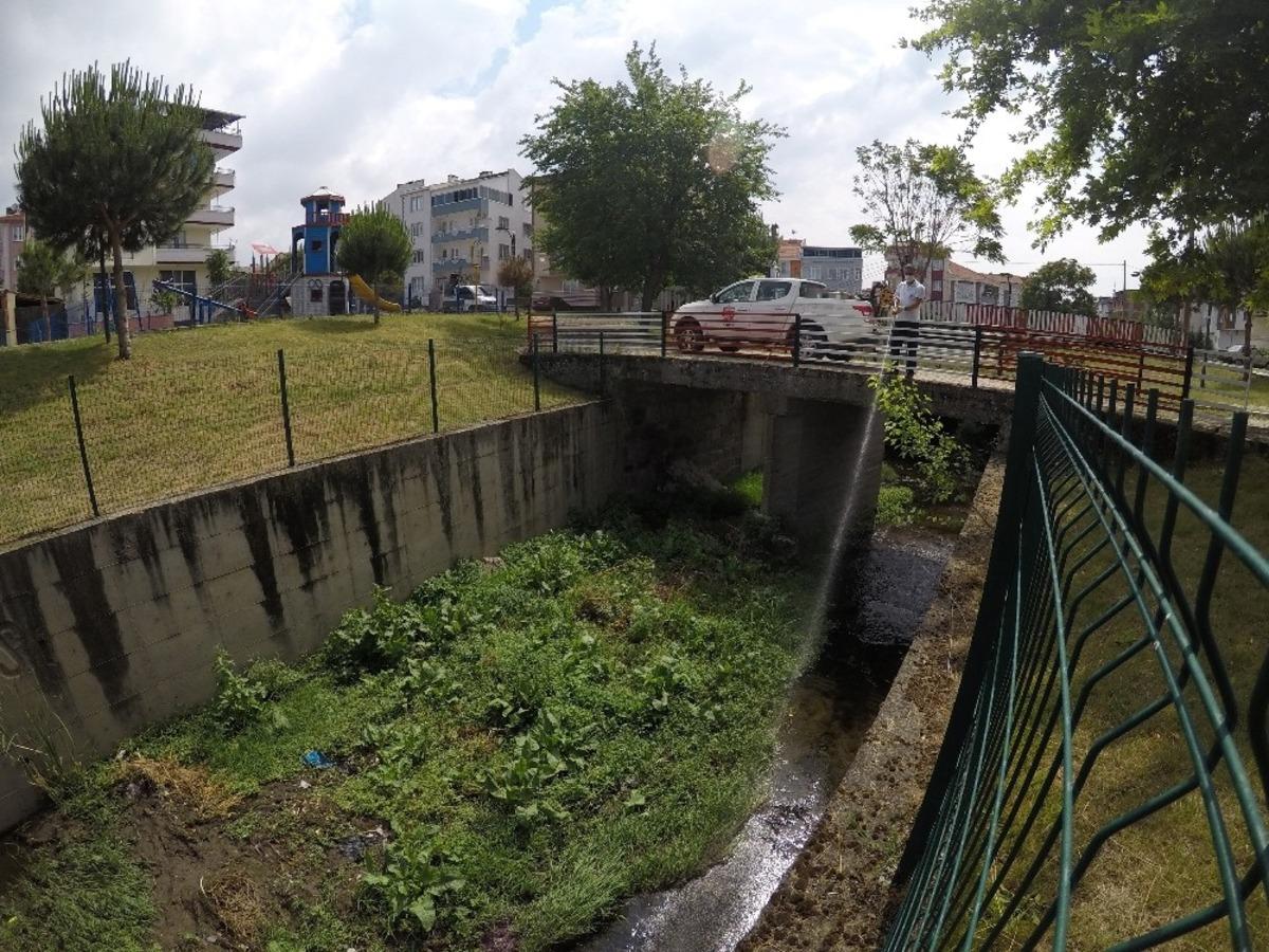 Karesi&rsquo;de haşereye ge&ccedil;it yok