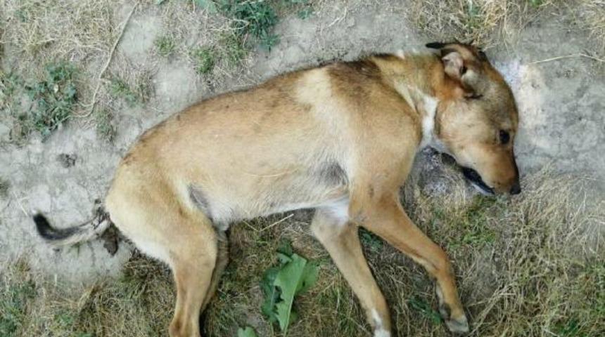 Denizli'de acı olay! &Ouml;l&uuml; bulundular