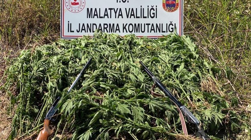 Jandarmadan kenevir operasyonu