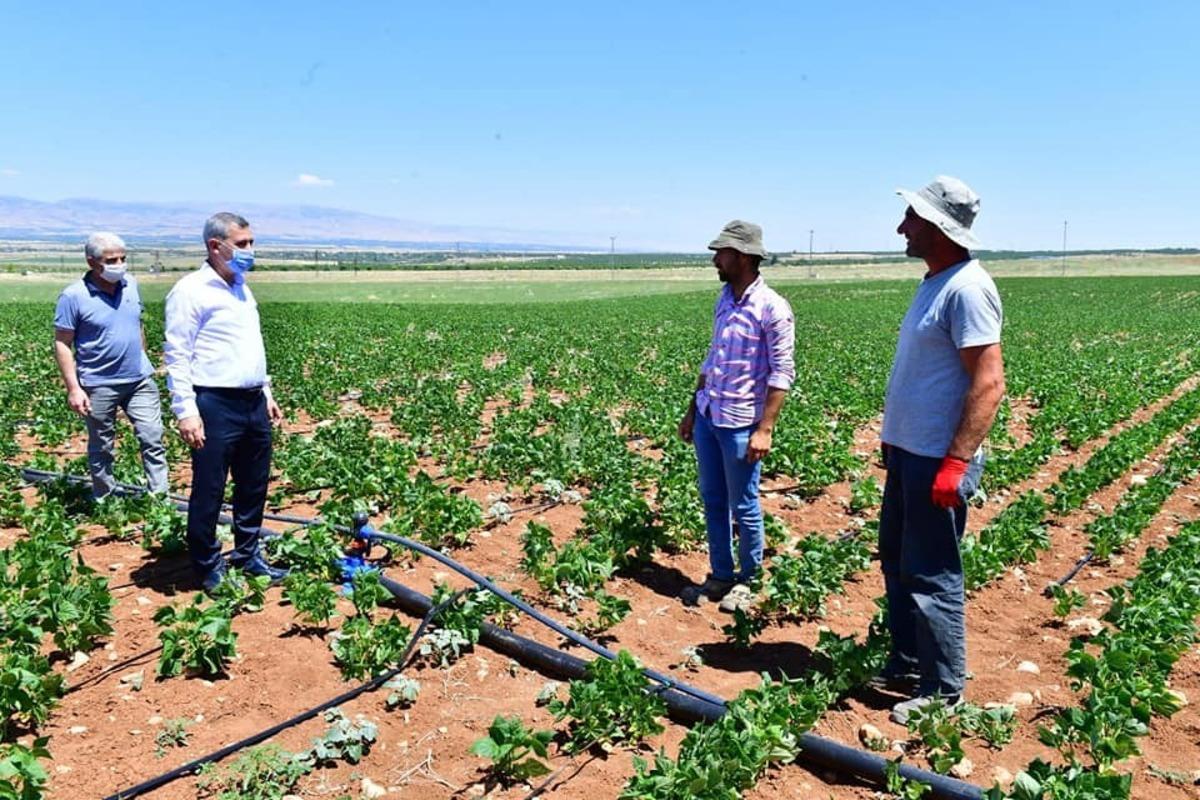 Yeşilyurt Belediyesi tarımsal arge sahasında &uuml;retimler hız kazandı