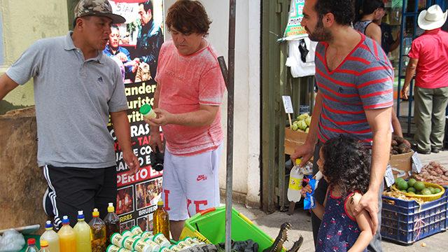 Anakonda yılanlar pazarlarda tavuk eti fiyatına