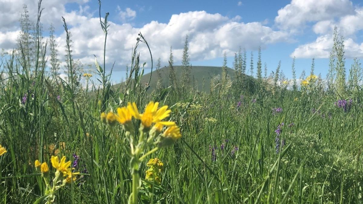 Kars&rsquo;ta Yahni Dağı eteklerinde kartpostallık g&ouml;r&uuml;nt&uuml;ler