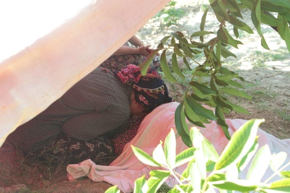 Kuşadası&rsquo;nda ağa&ccedil;tan d&uuml;şen kişi hayatını kaybetti