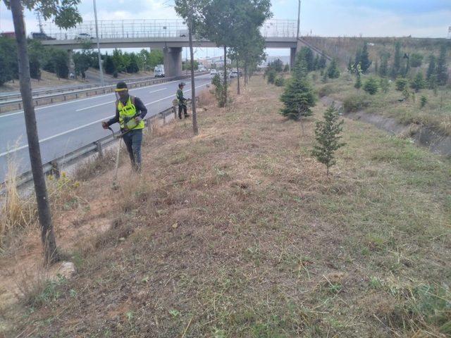 Gebze’de D-100 ve otoyol kenarlarında temizlik yapıldı