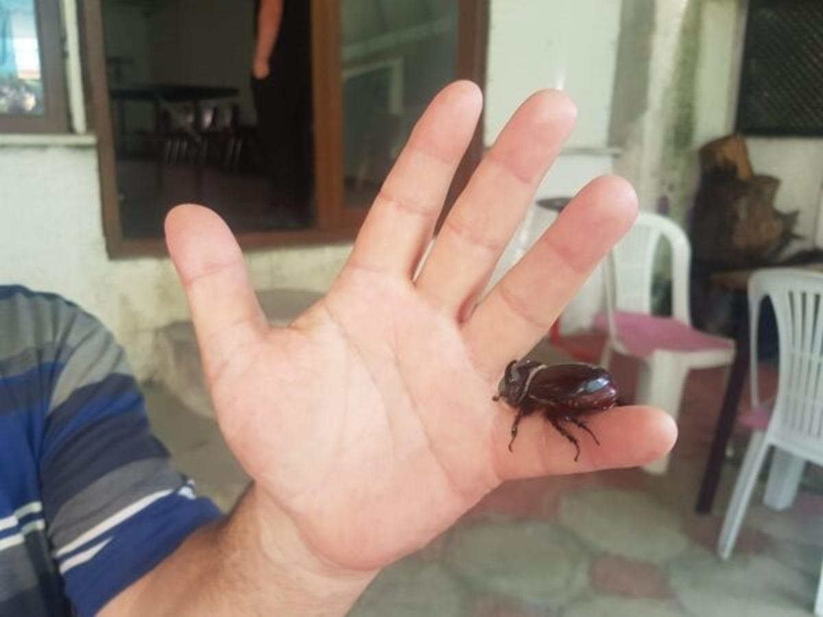 Gittiği her yere onu da g&ouml;t&uuml;r&uuml;yor: İmkanı olsa elinden tutup gezdiririm