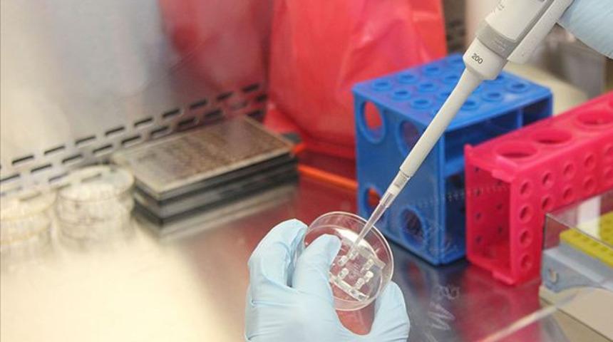 PCR testi ücreti belli oldu! PCR test ücreti ne kadar?