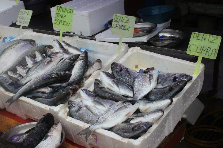 Yaz mevsiminde kültür balıkları tezgahlarda yer alıyor G2