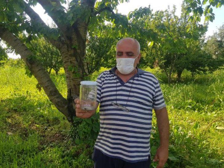 Şaşkınlık veren olay! Tarlada çalışırken üzerine düştü G1