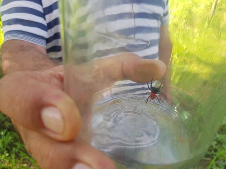 Şaşkınlık veren olay! Tarlada çalışırken üzerine düştü G3