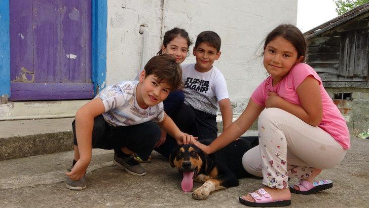 Ordu'daki Yazlık Mahallesi'nde herkesin soyadı aynı!  G5