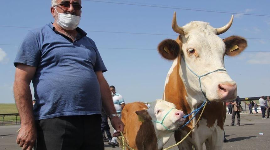 Kurban tedbirleri açıklandı