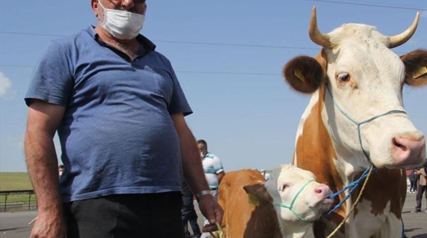Diyanet İşleri Başkanlığı yayımladı! Kurban tedbirleri açıklandı