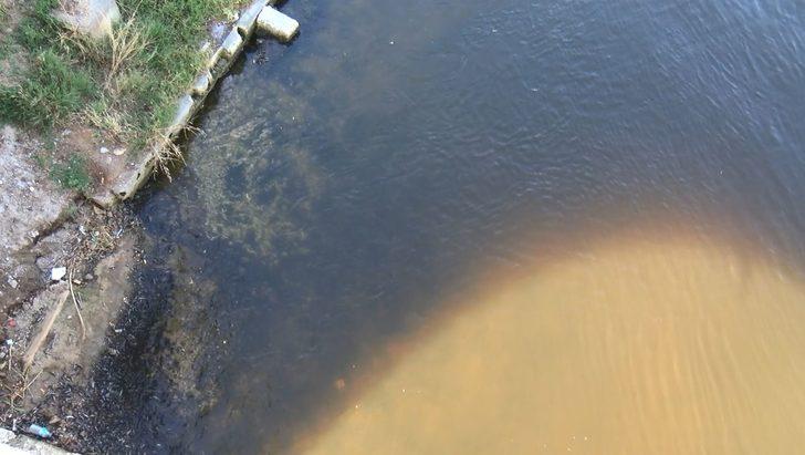 Küçükçekmece Gölü'nde binlerce balık kıyıya vurdu G4