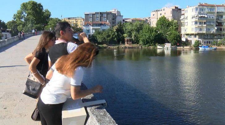 Küçükçekmece Gölü'nde binlerce balık kıyıya vurdu G5