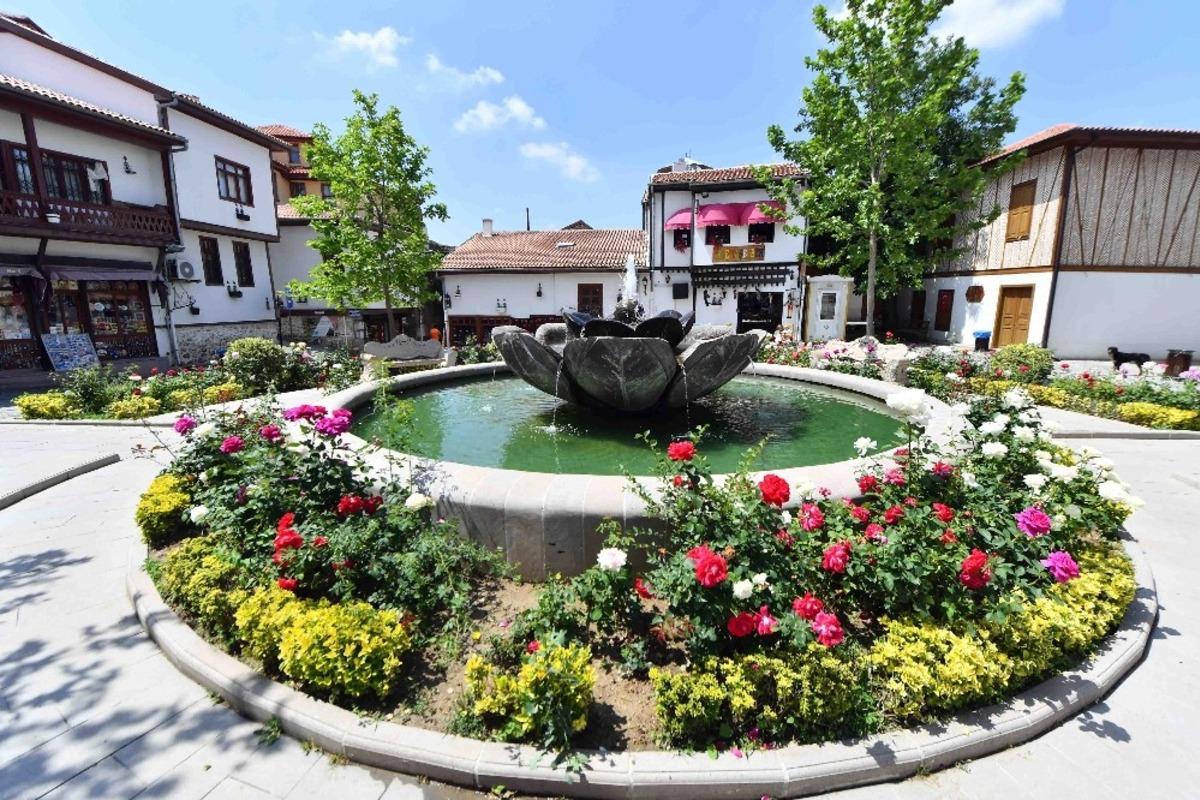 &Ccedil;i&ccedil;ek gibi Başkent