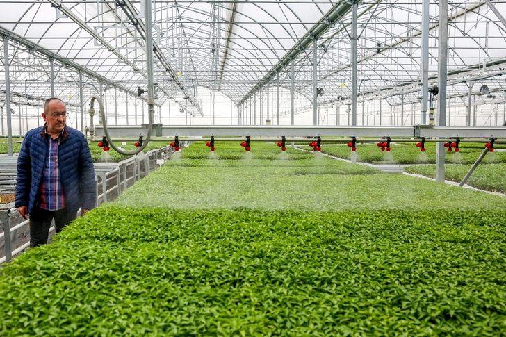 Meram Sebze Fidesi Üretim Tesisinde üretilen 3 milyon fide toprakla buluştu G1