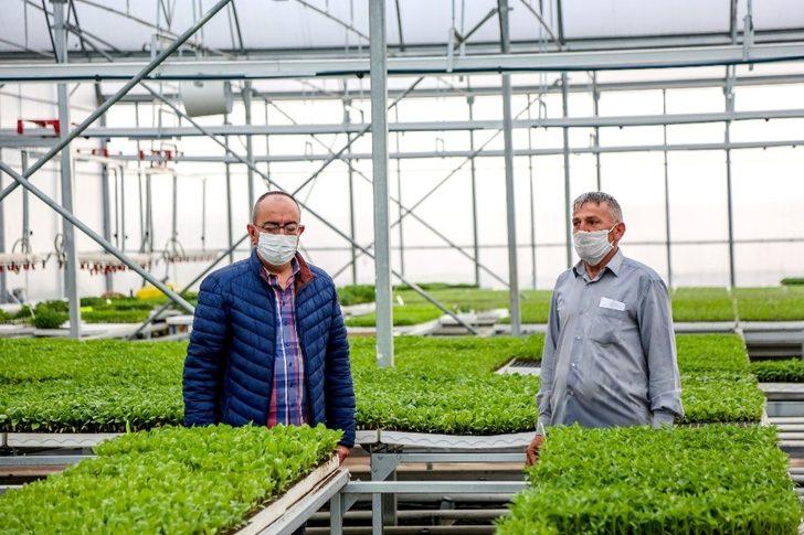 Meram Sebze Fidesi Üretim Tesisinde üretilen 3 milyon fide toprakla buluştu G2