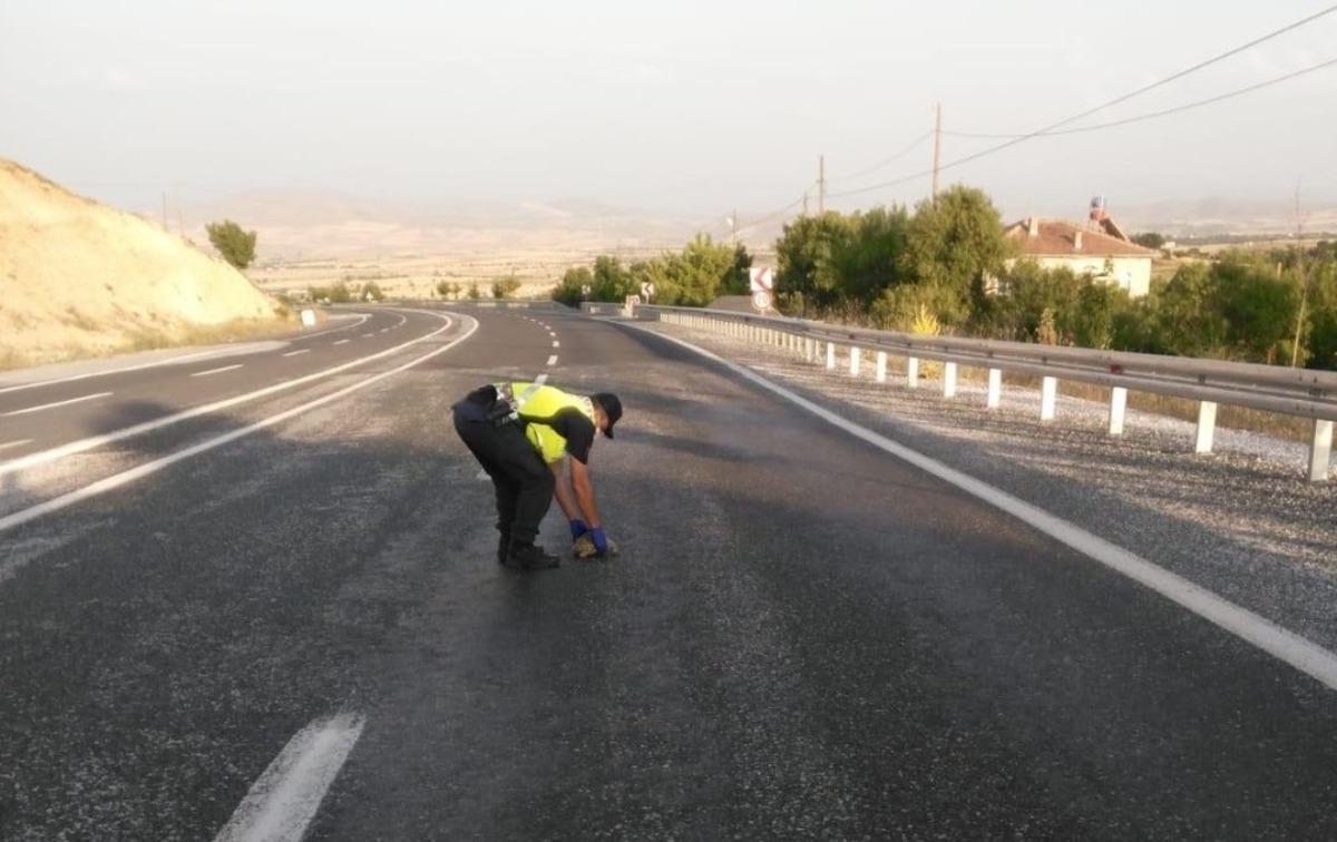 Mehmet&ccedil;ik&rsquo;ten kaplumbağa duyarlılığı