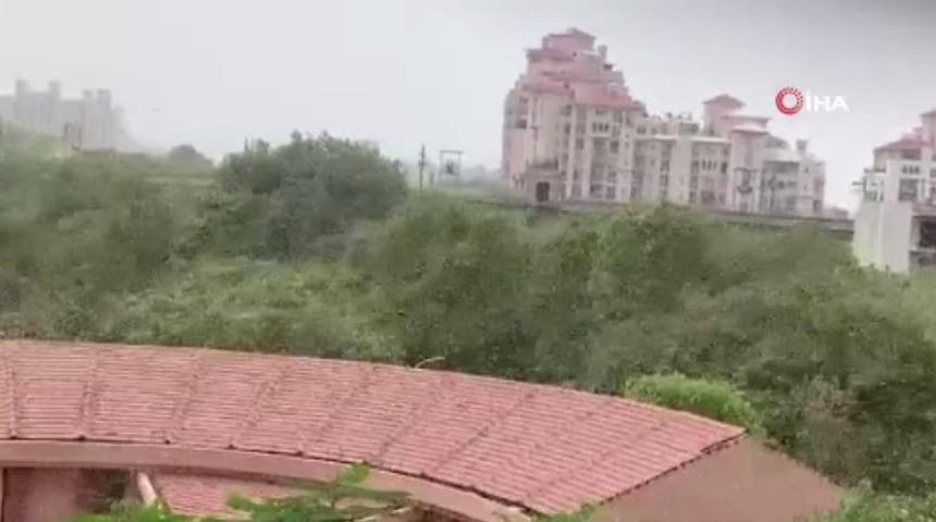 Hindistan&rsquo;da &ccedil;ekirge istilası paniği