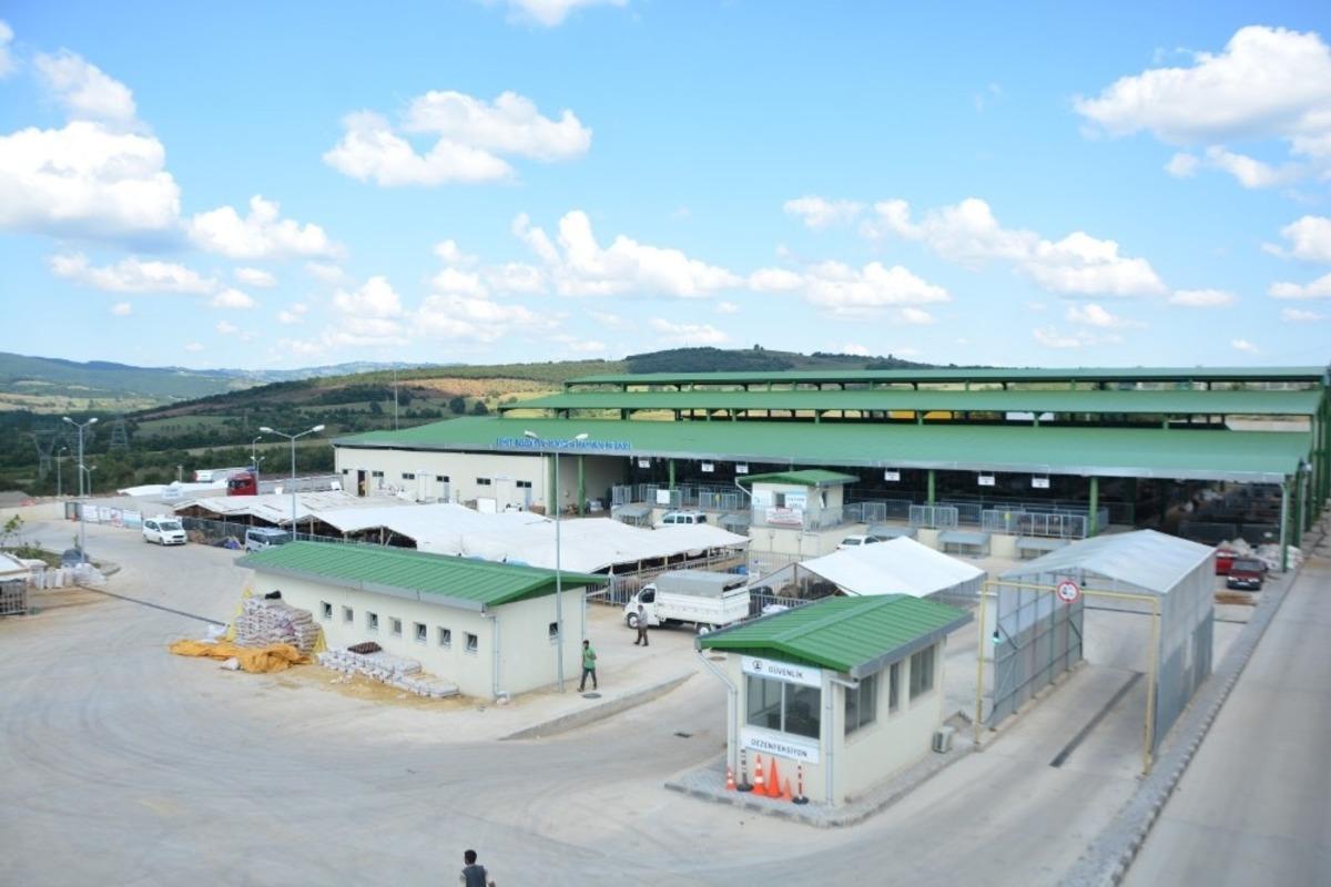 İzmit modern hayvan pazarı Kurban Bayramı&rsquo;na hazır