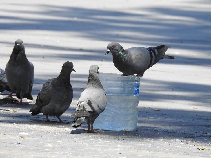 Gaziantep’te YKS sessizliği G3