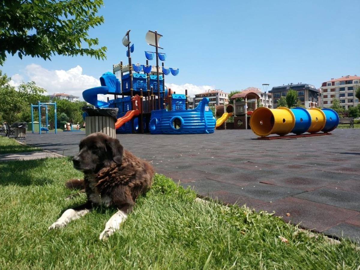 Parklar yine sessizliğe b&uuml;r&uuml;nd&uuml;