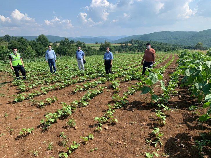 Türkiye’ye örnek olacak tarım hamlesi G4