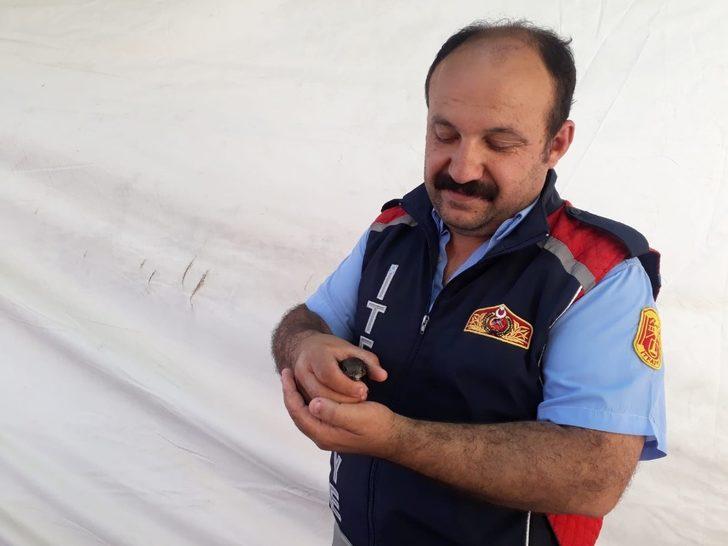 Mahsur kalan ebabil kuşunu itfaiye kurtardı G2