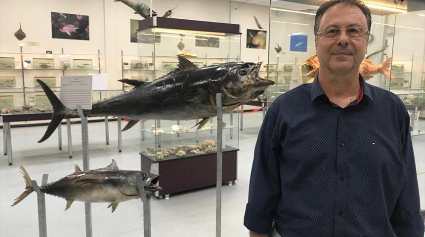 Somon balığında koronavir&uuml;s iddiası! Prof. Dr. Tevfik Tansel Tanrıkul'dan a&ccedil;ıklama