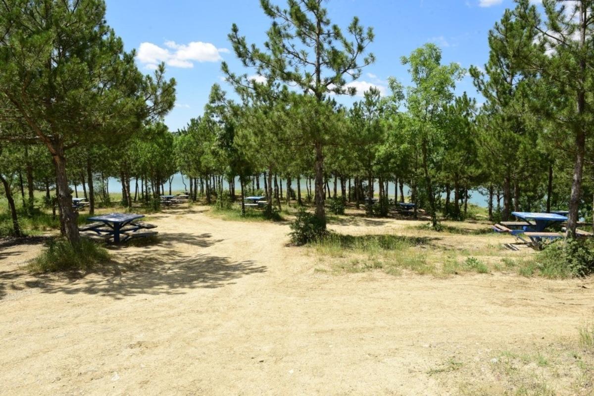 &Ccedil;orum barajından 3 ton &ccedil;&ouml;p tonlandı