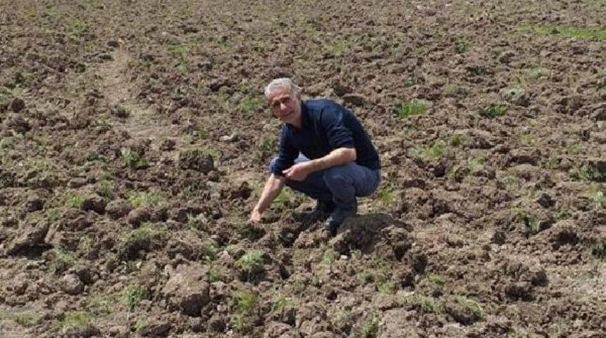 Görevden alınan HDP'li belediye başkanı Bekir Polat, koronavirüse yakalandı